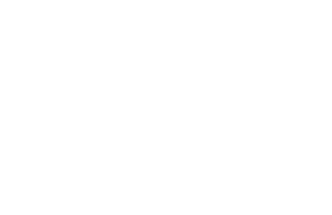 Bigtech PDV